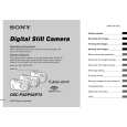 SONY DSC-P32 Owners Manual